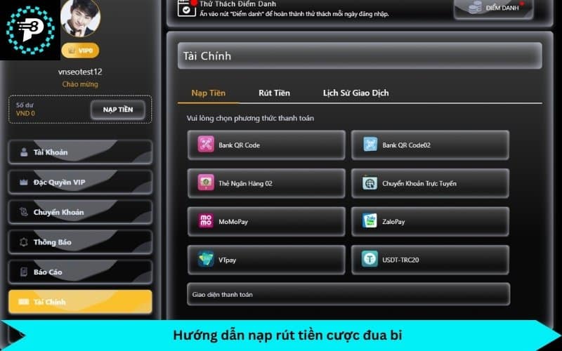 hướng dẫn nạp rút tiền đua bi